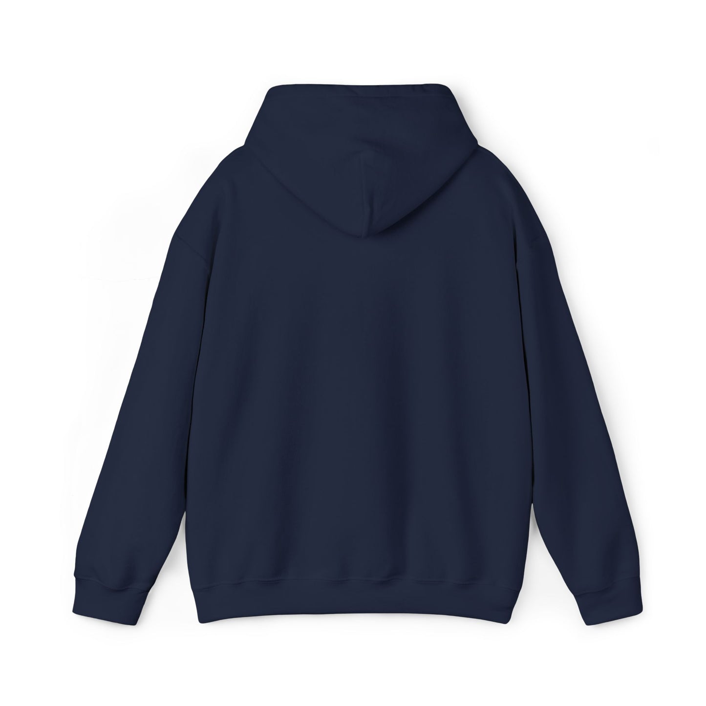 Aspö koordinat hoodie (broderi) (unisex)