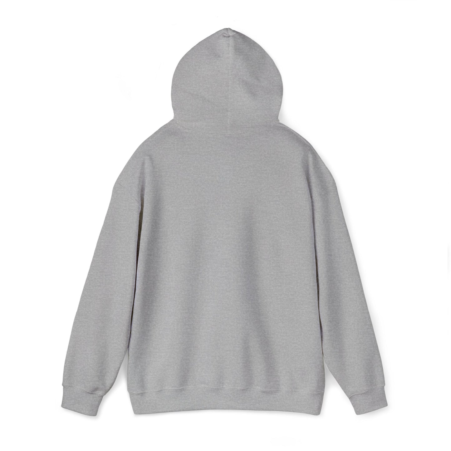 Aspö koordinat hoodie (broderi) (unisex)