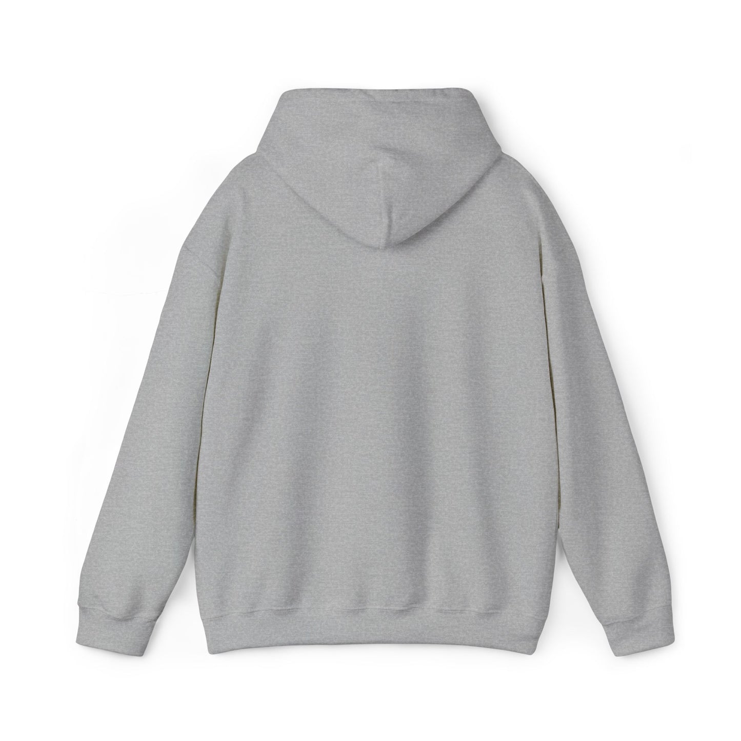 Aspö koordinat hoodie (broderi) (unisex)