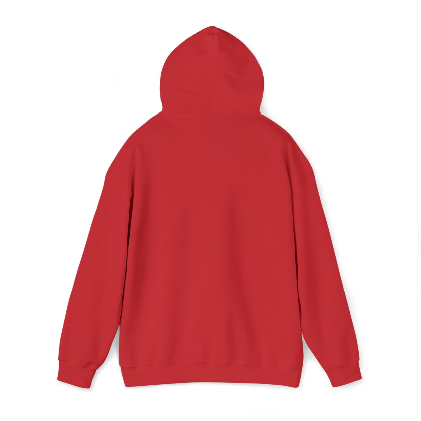 Aspö koordinat hoodie (broderi) (unisex)