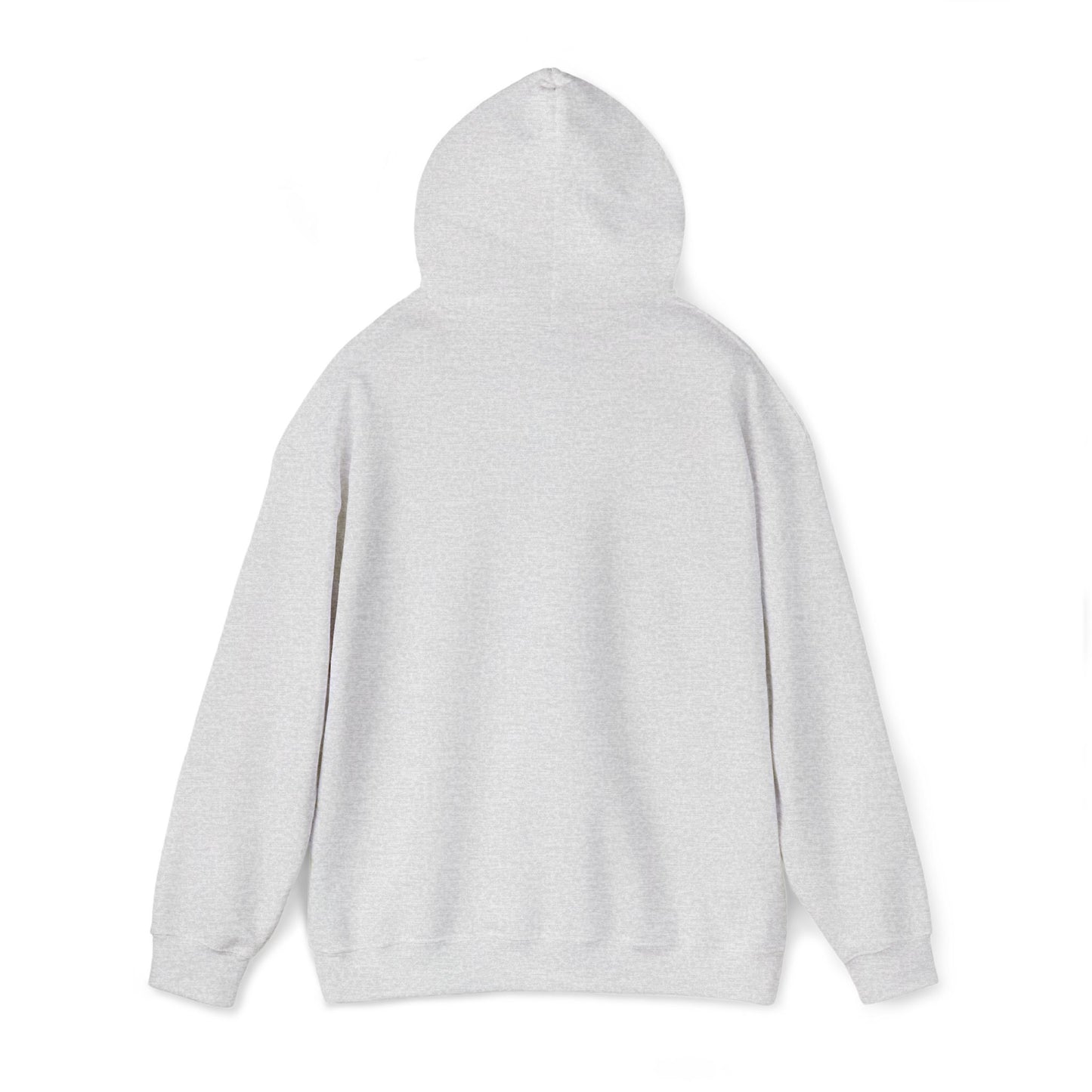 Aspö koordinat hoodie (broderi) (unisex)