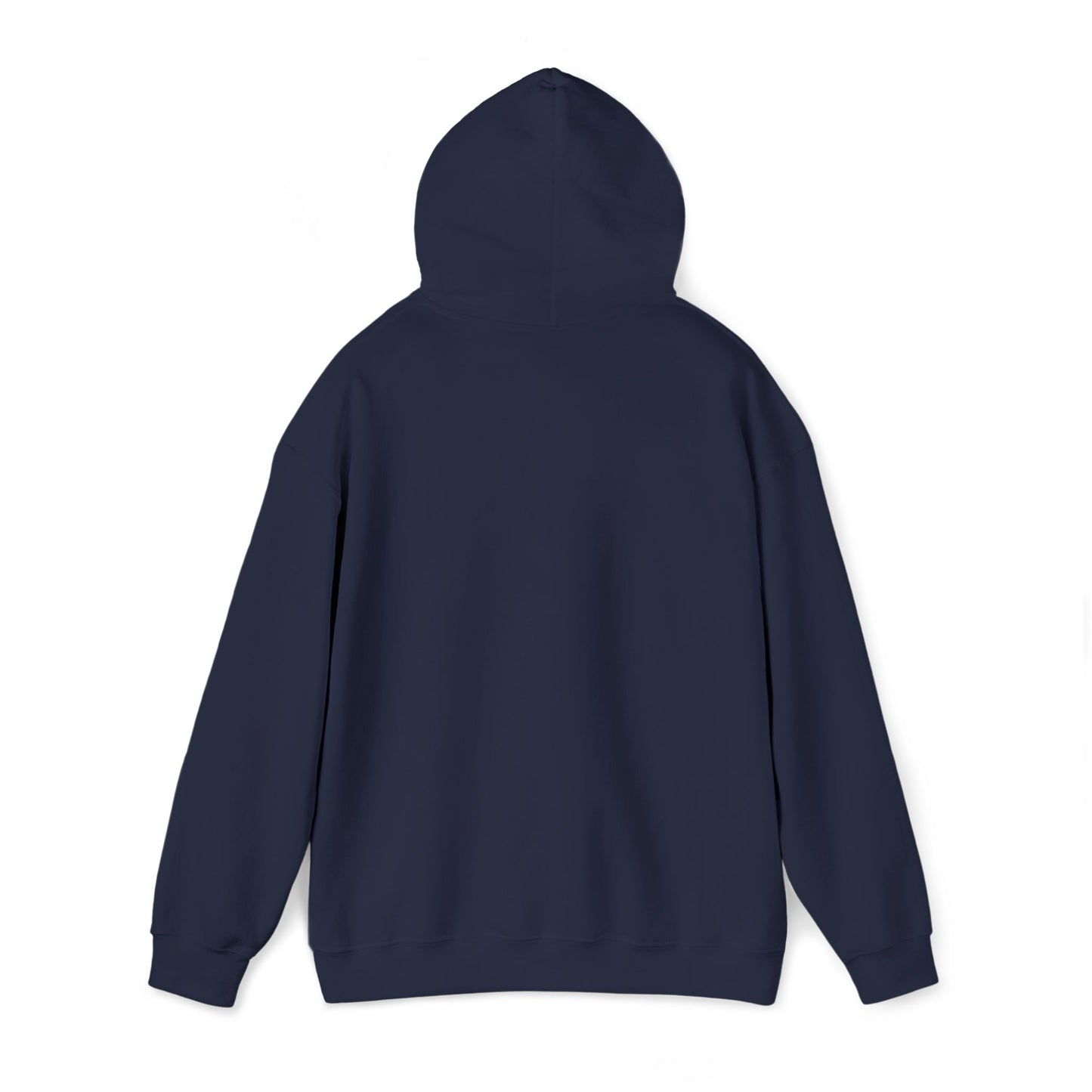 Aspö koordinat hoodie (broderi) (unisex)