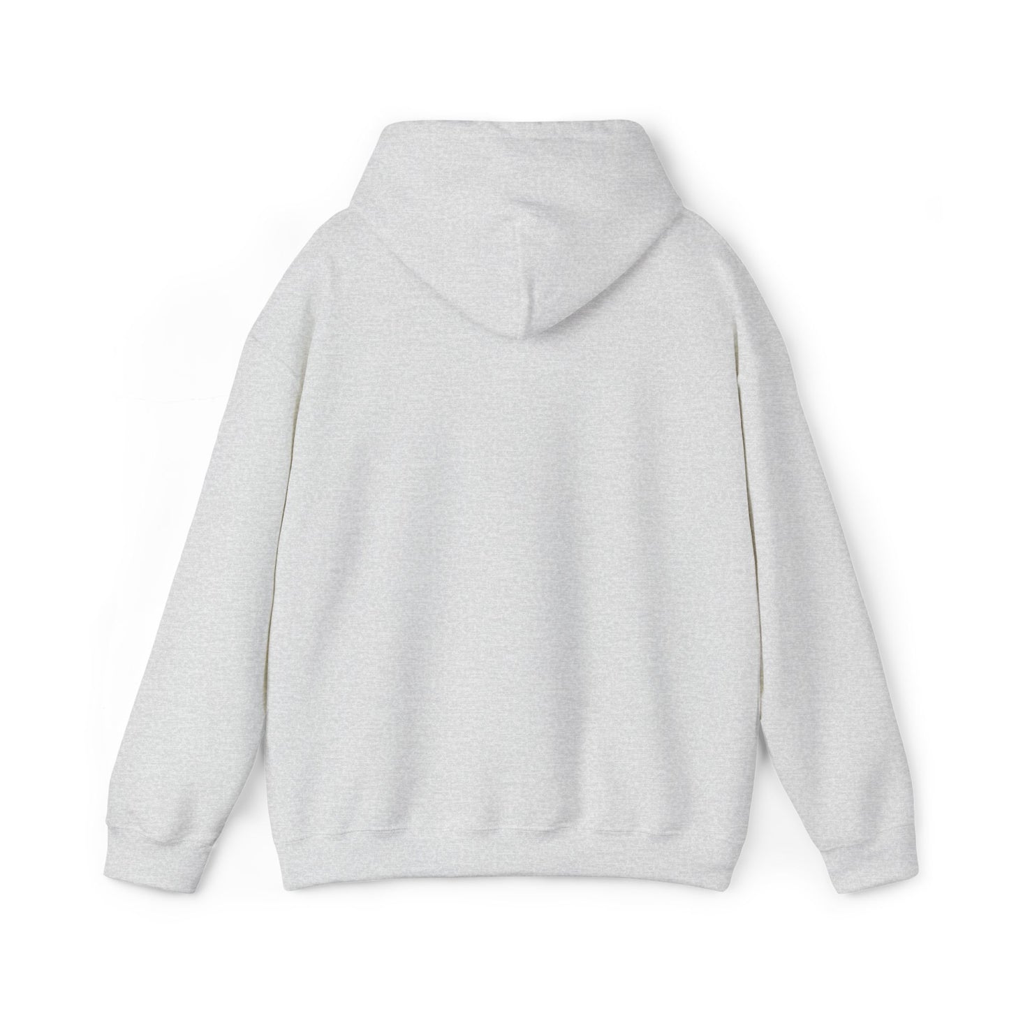 Aspö koordinat hoodie (broderi) (unisex)