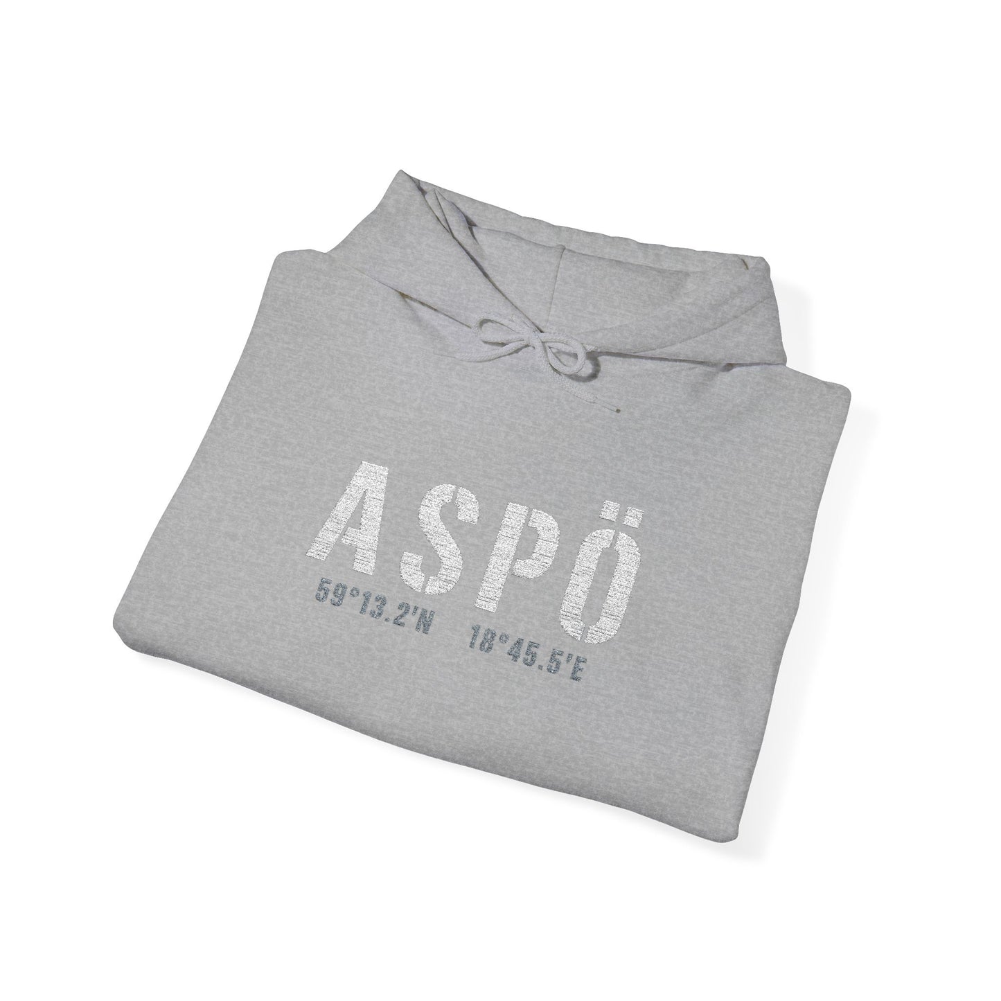 Aspö koordinat hoodie (broderi) (unisex)