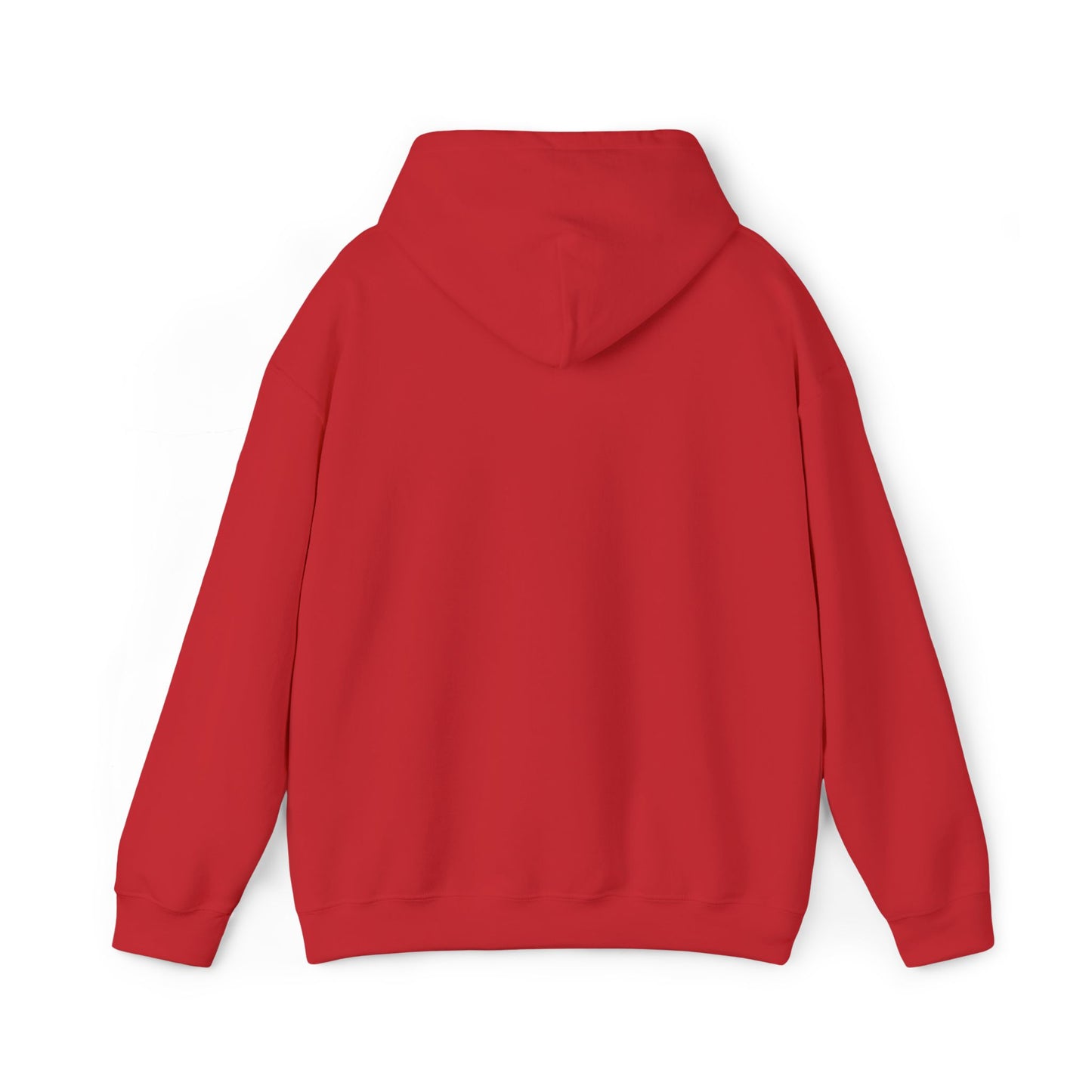 Aspö koordinat hoodie (broderi) (unisex)