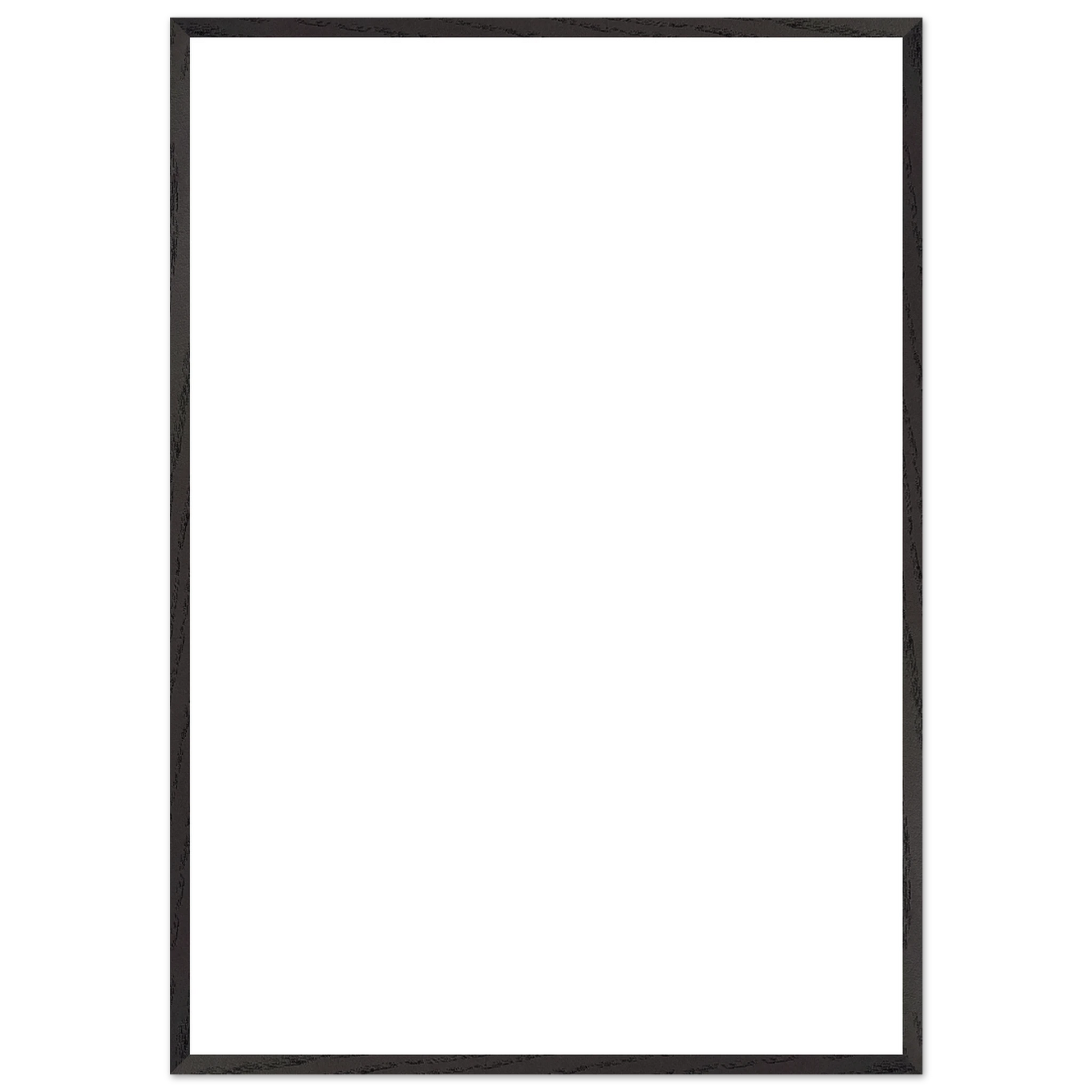 e2316b2a-c302-4eb5-9ed4-c850100034b7